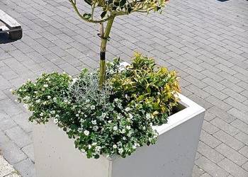 donica doniczki z betonu architektonicznego donica betonowa D4