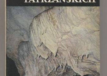 W podziemiach tatrzańskich