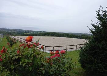 Ośrodek jeździecki, stajnia, pensjonat, hotel dla koni, siedlisko