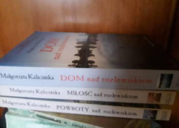 3xKalicińska Dom i Miłość oraz Powroty ad Rozlewiskiem