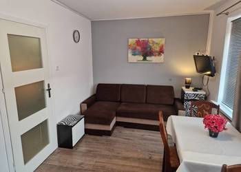 Mieszkanie do wynajecia