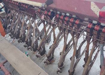 Siewnik zbożowy Poznaniak