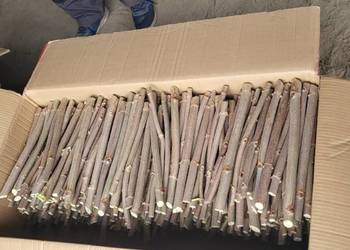 SZTOBRY CZARNEGO BZU SAMPO