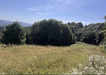 Koszenie nieużytków/ Czyszczenie działek/ Glebogryzarka separacyjna