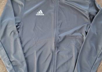 Szara sportowa bluza  meska 40 L Adidas Aeroready