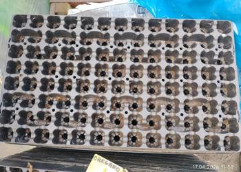 wielodoniczki multiplaty do sadzonek 104 otwory