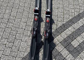 Volkl TigerSharks 160 cm