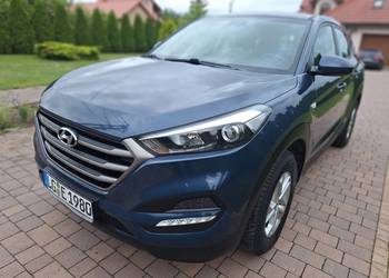 Tucson 1.6GDI BluDrrive Classic 2WD Serwisowany