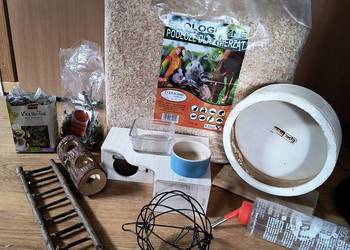 Akcesoria dla gryzonia