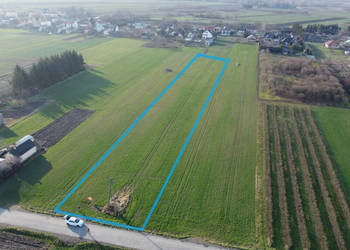 Działka rolno-budowlana 0,62 ha w Gołębiu k/Puław.