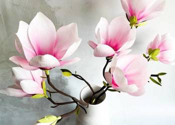 Magnolia gałązka z krepiny niemieckiej