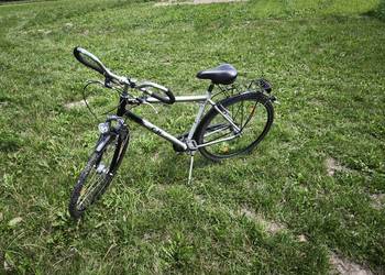 Rower Cycles King