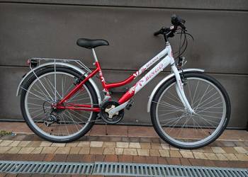 Rower Bingo Suzana dziecięcy, junior dziewczynki koła 24