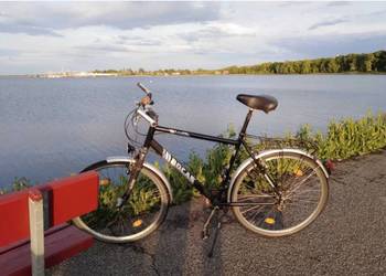 Rower Bocas, Alu, 28cali, 3na8, zawias przód