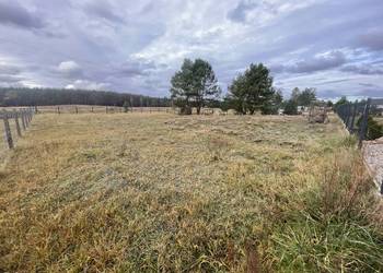Działka budowlana ze zgłoszonym projektem domu Łośno gm. Kłodawa