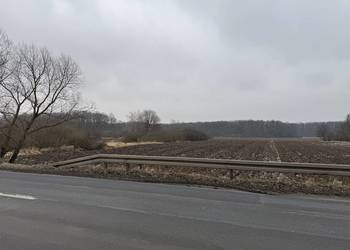 Syndyk sprzeda 1/2 udziału w prawie własności nieruchomości gruntowej