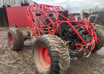 zmota buggy cena za klatke