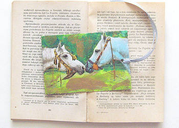 konie zakładka do ksiązki, zakladka z końm, zwierzęta zakład konie zakładka do ksiązki, zakladka z końm, zwierzęta zakład