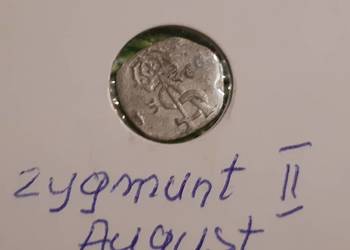 moneta srebrna Zygmunta II Augusta z 1566r