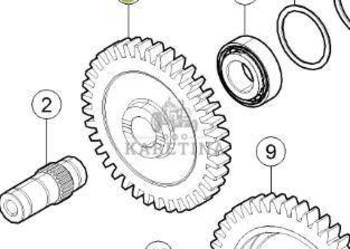 Claas Axion 870 Koło Zębate Przekładni 0011708650 00 1170 865 0