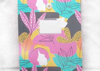 kolorowy segregator na papiery, kolorowy organizer na dokumenty i pisma