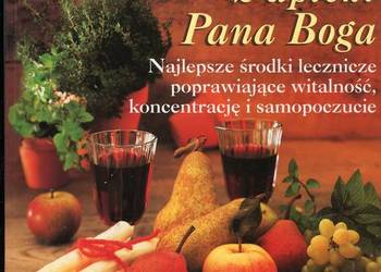 Naturalna siła z apteki Pana Boga - Werner Meidinger