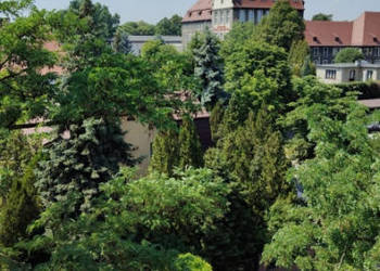 Przestronne mieszkanie w śródmieściu Bytomia