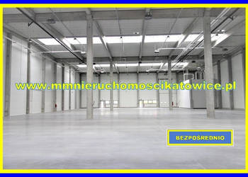 Lokal 700m2 Siemianowice Śląskie