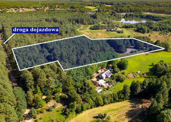 Teren 3,5ha w sercu Puszczy Noteckiej|Prywatny las