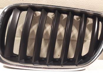 GRILL NERKA LEWA BMW X5 E53 7124815