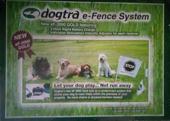 Obroża,pastuch elektryczny dla psa Dogtra eF-3000 Gold