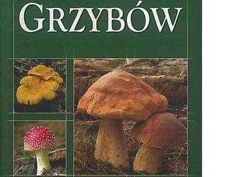 Atlas grzybów  - Marek Snowarski