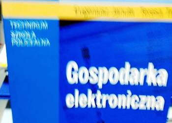 Gospodarka elektroniczna