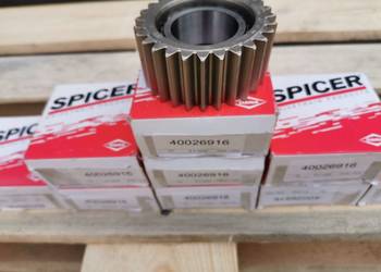 Satelita Łożysko zwolnicy Dieci {Spicer}