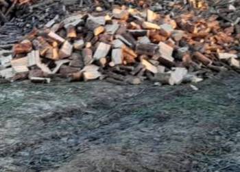 Drewno Kominkowe I Gałęziówka Buk Dąb Grab Brzoza Sosna Jesion SEZONOWANE