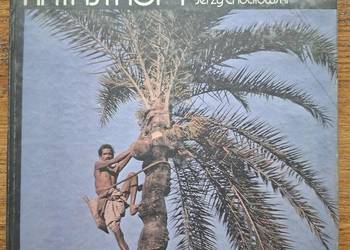 Syria i Bangladesz Globus