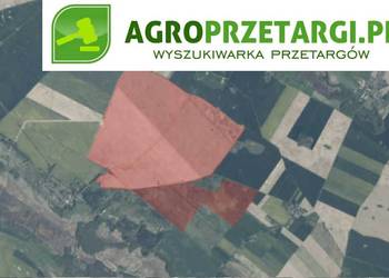 Dzierżawa 476,39 ha gruntu pod fotowoltaikę/farmy wiatrowe