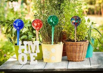 Zestaw 4 kolorowych szklanych kulek do podlewania wysyłka gratis