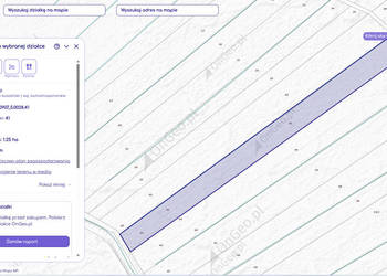 Działki rolne. Łąki 1,5 ha. Skibno