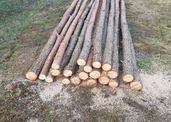 Stemble drewniane – mocne, proste