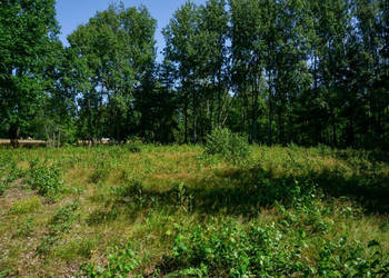 Działka budowlana 1002m2, Grądy k. Żyrardowa