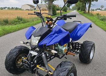 Quad Bashan 200/250cc Duża rama Ciecz  4+1r Zarejestrowany!