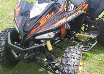 Quad 250
