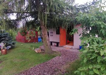 Ogród działkowy ROD GOŹDZIK WROCŁAW