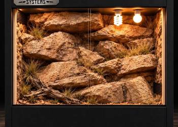 Terrarium specjalistyczne dla agamy brodatej żółwia greckiego