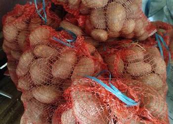 ziemniaki jurek tacja baltic rosse