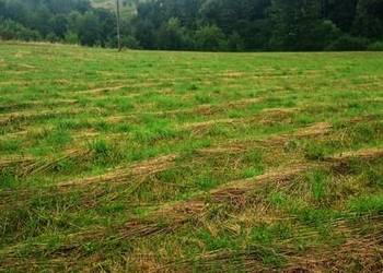 Pilne, działka budowlana równy teren, 38arów