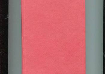 Kariera Nikodema Dyzmy