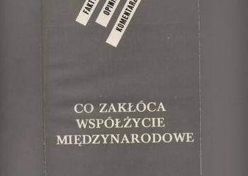 Co zakłóca współżycie międzynarodowe - Pastusiak
