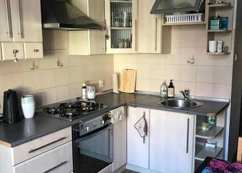 2pok, 51met, okolice Bujwida PIWNICA (Wrocław) 2pok, 51met, okolice Bujwida PIWNICA (Wrocław)